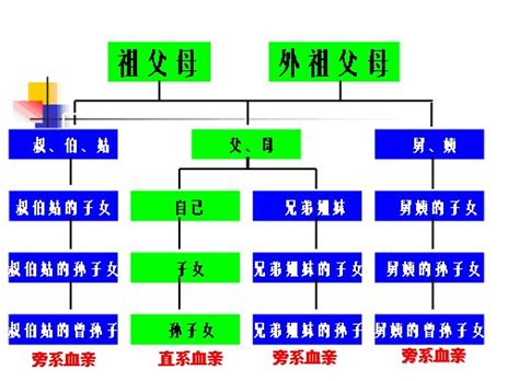 外孫算直系嗎|什麼是民法的親屬？什麼是直系、旁系、尊、卑親屬？｜法律百科 